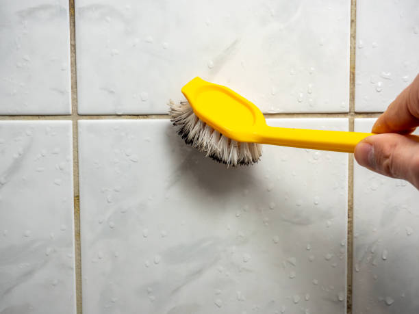 Best Commercial Mold Removal  in China Grove, TX