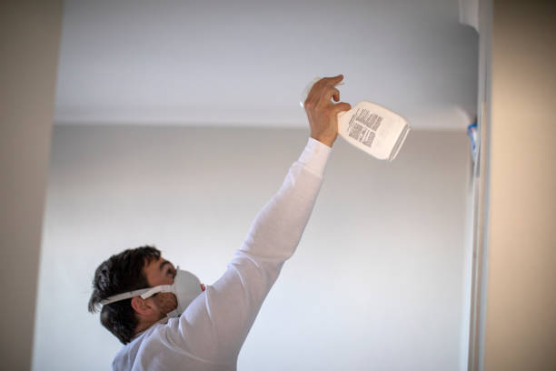 Best Mold Removal Company Near Me  in China Grove, TX