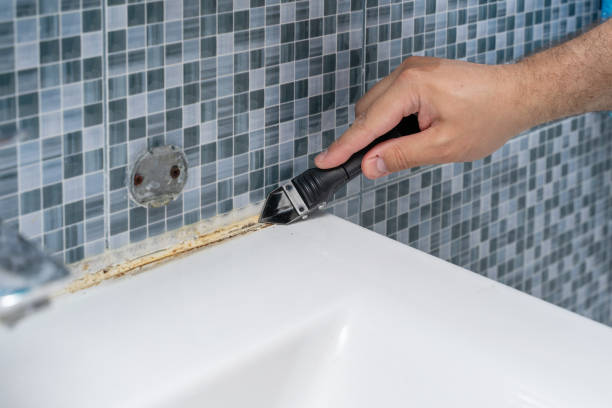 Best Commercial Mold Removal  in China Grove, TX