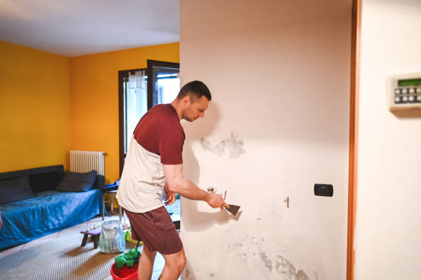 Professional Mold Removal in China Grove, TX